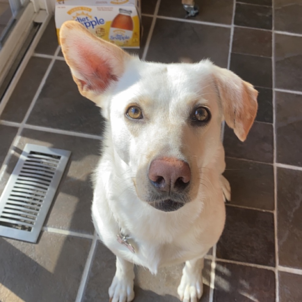 Meet your Posher, Ana